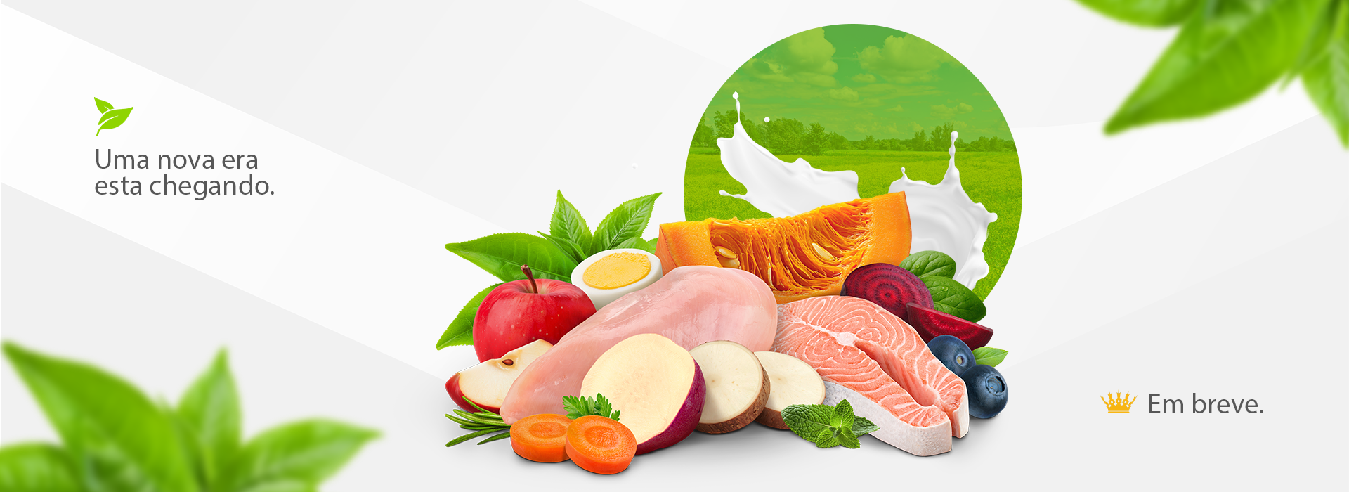 Banner WheyHD Natural